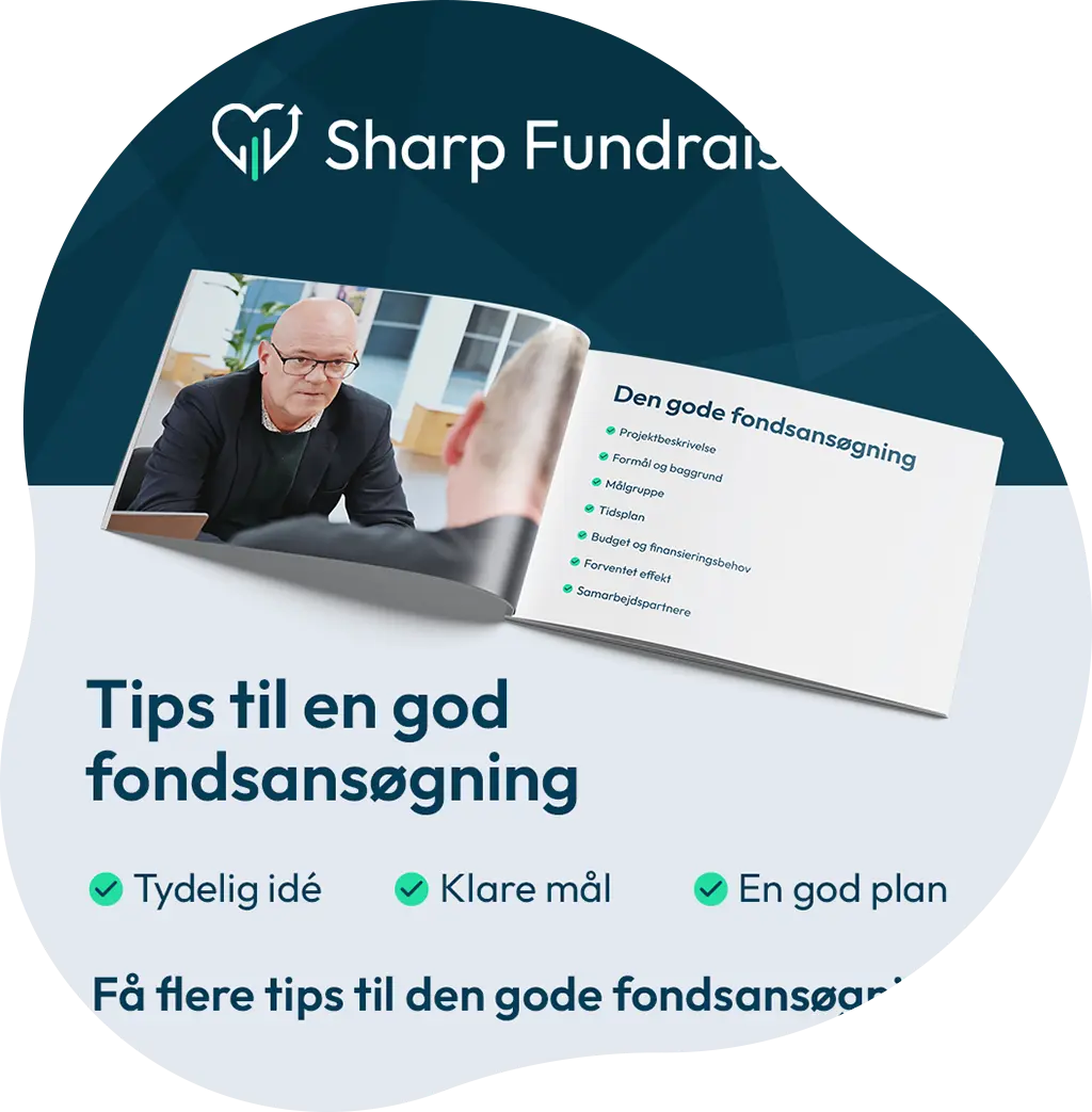 Effektive annoncer fra PixelPiraten